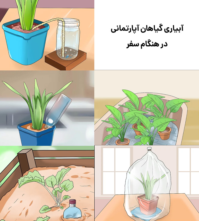 آبیاری گیاهان در هنگام سفر