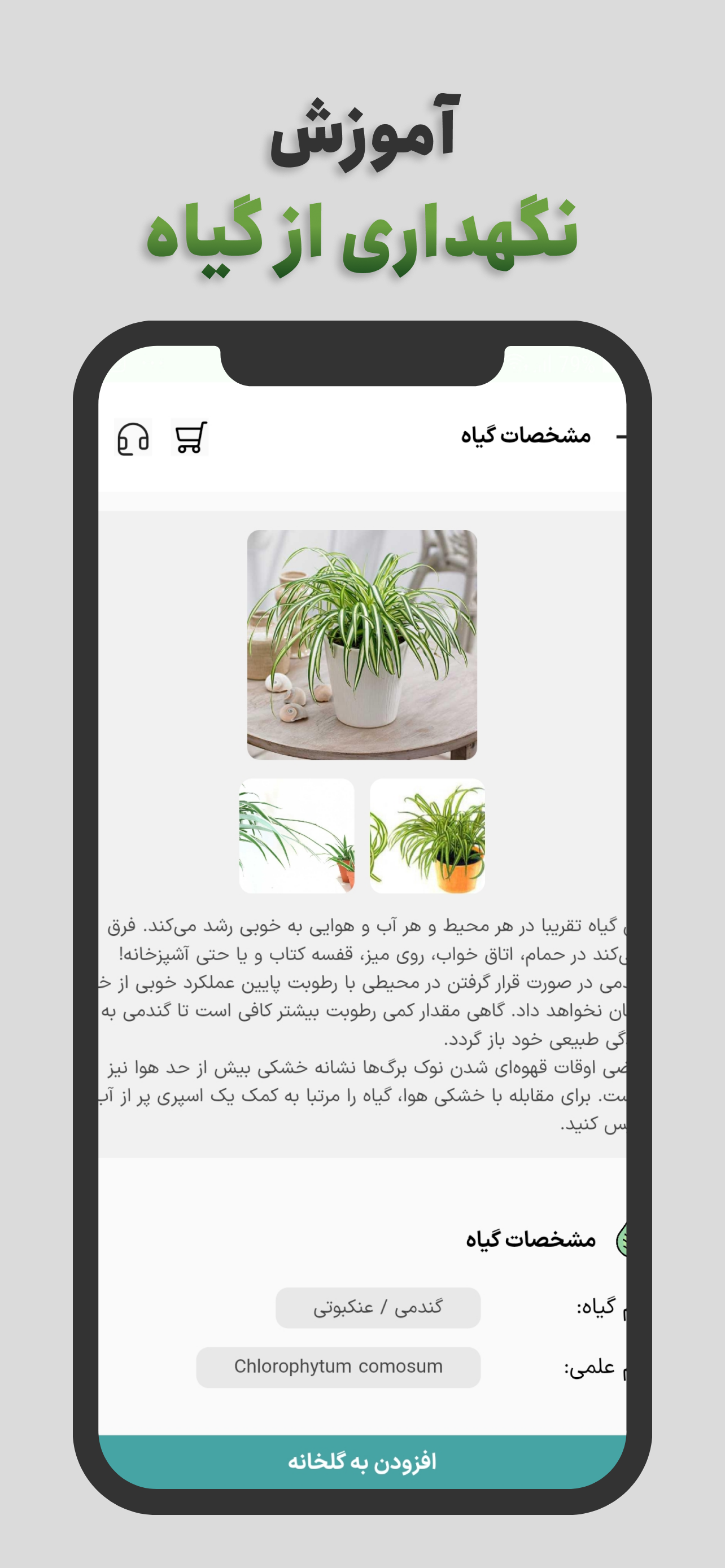 تشخیص گل و گیاه با عکس